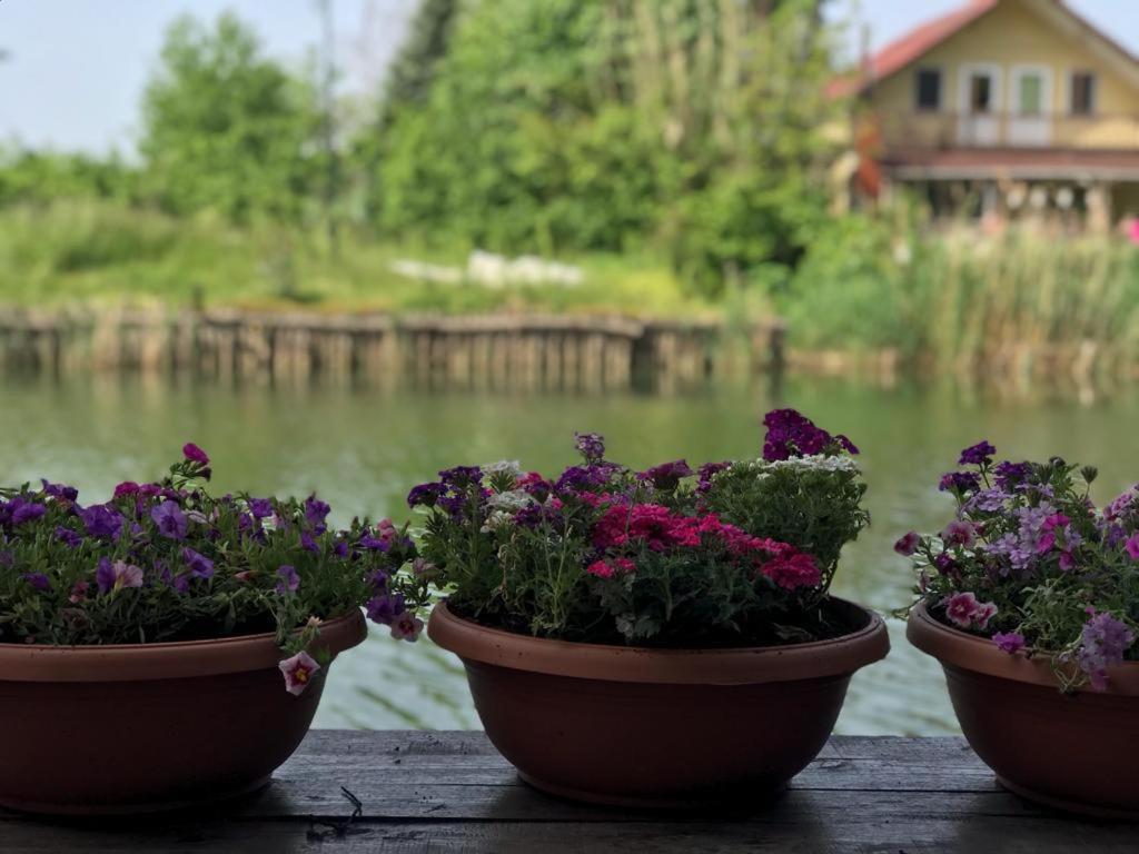 Agva Sweet Home River Hotel Esterno foto